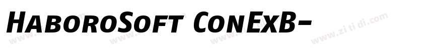HaboroSoft ConExB字体转换